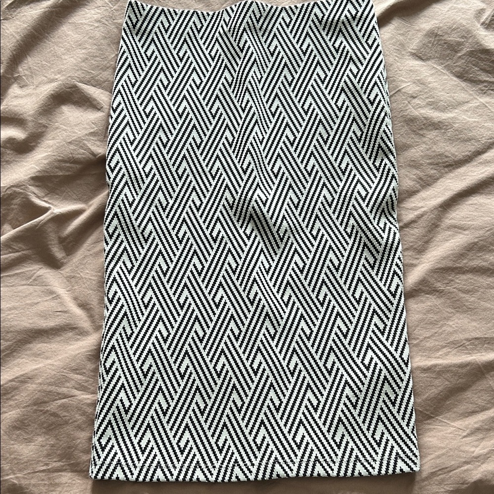 Zara Pencil Skirt
